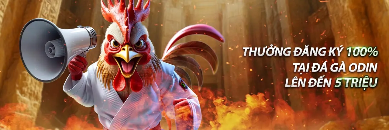 Sòng bạc trực tuyến win55 me với người chia bài thật